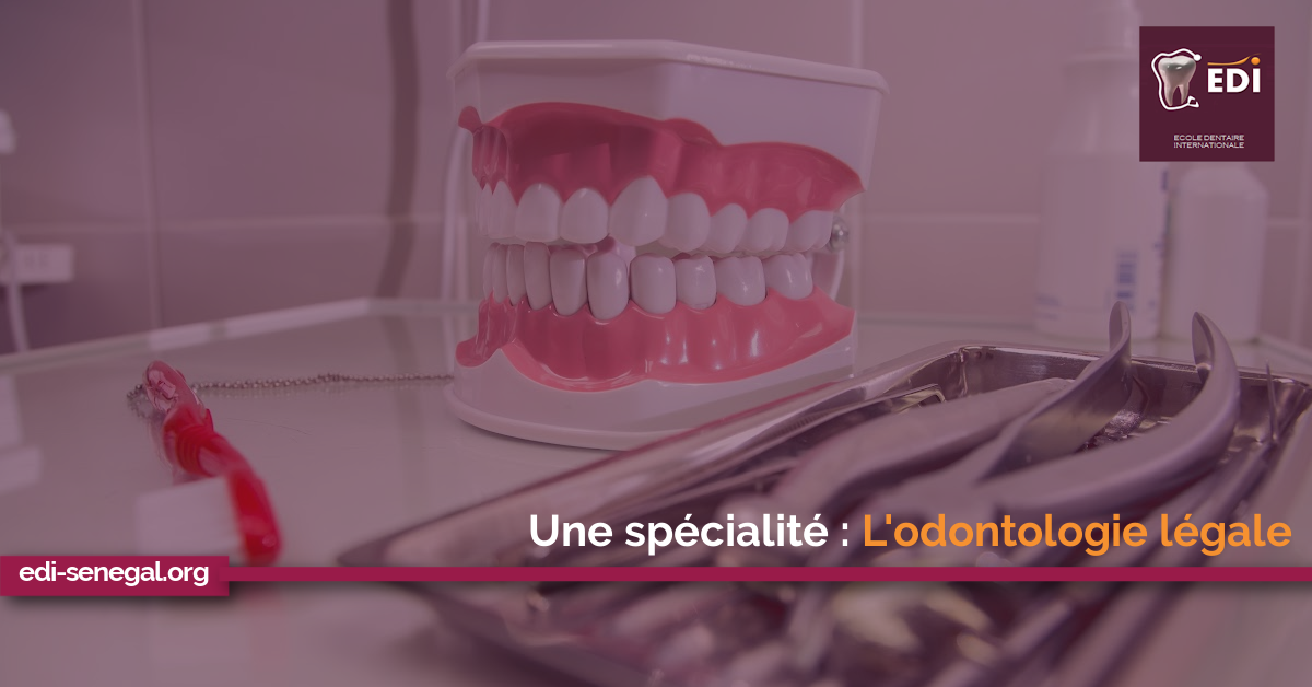Odontologie légale